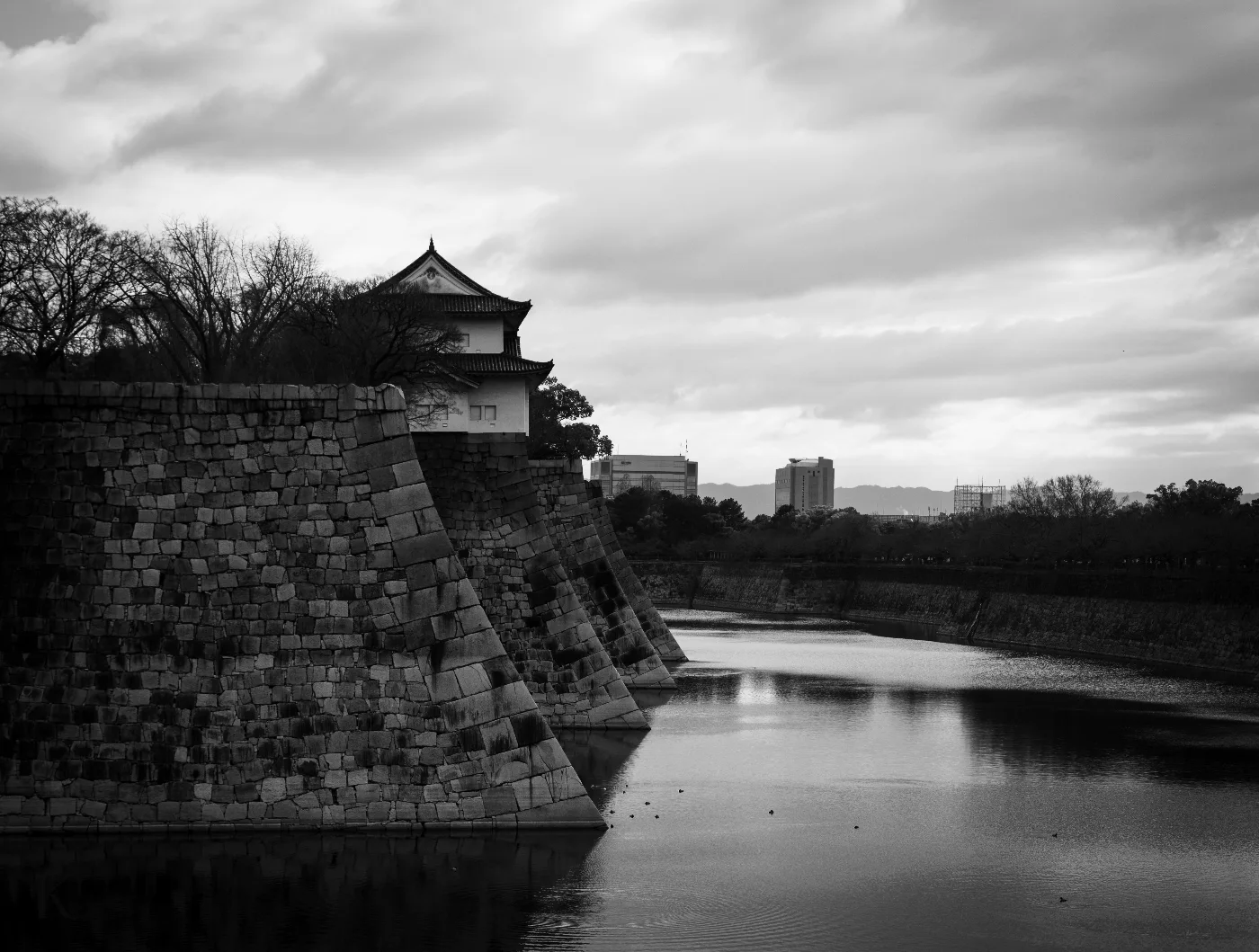 401A9201 photograph