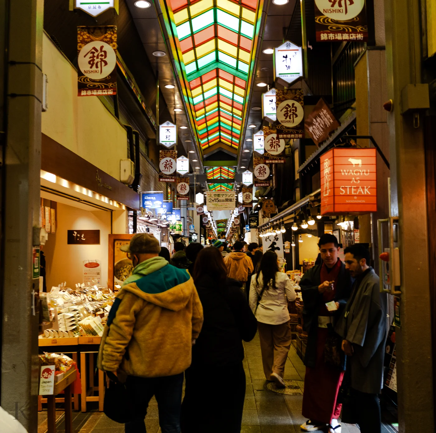 401A9537 photograph