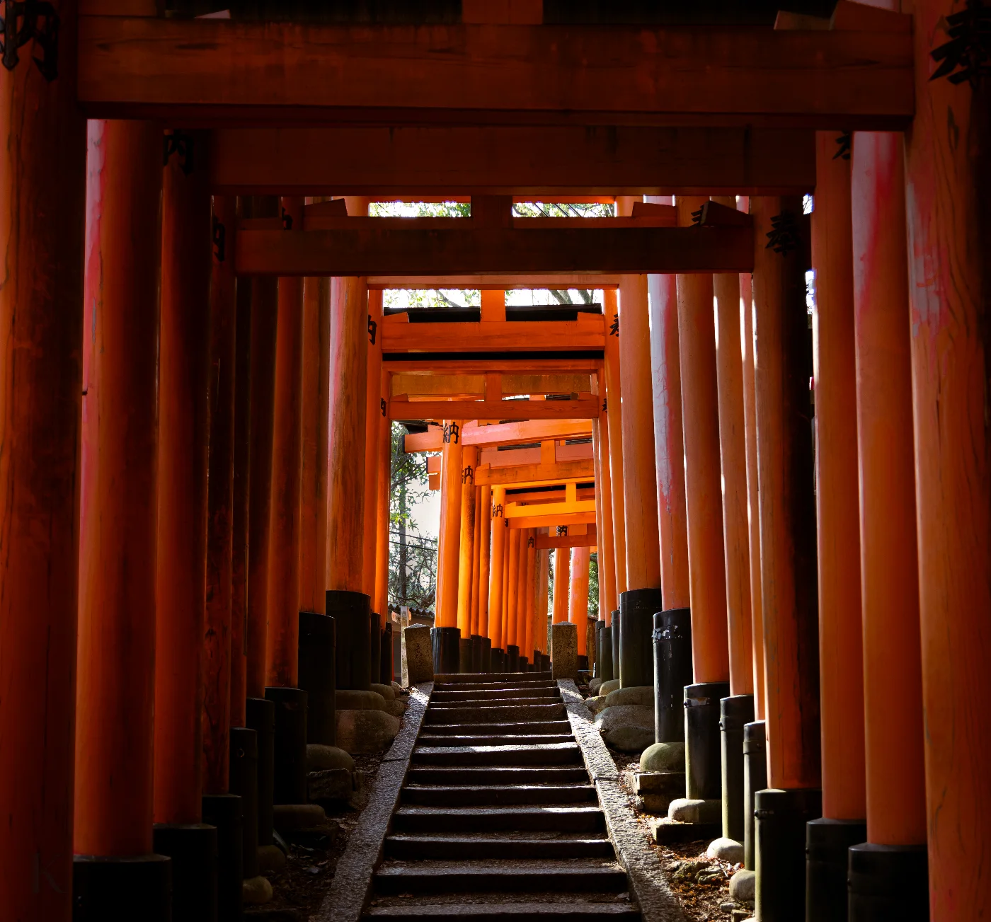 401A9737 photograph