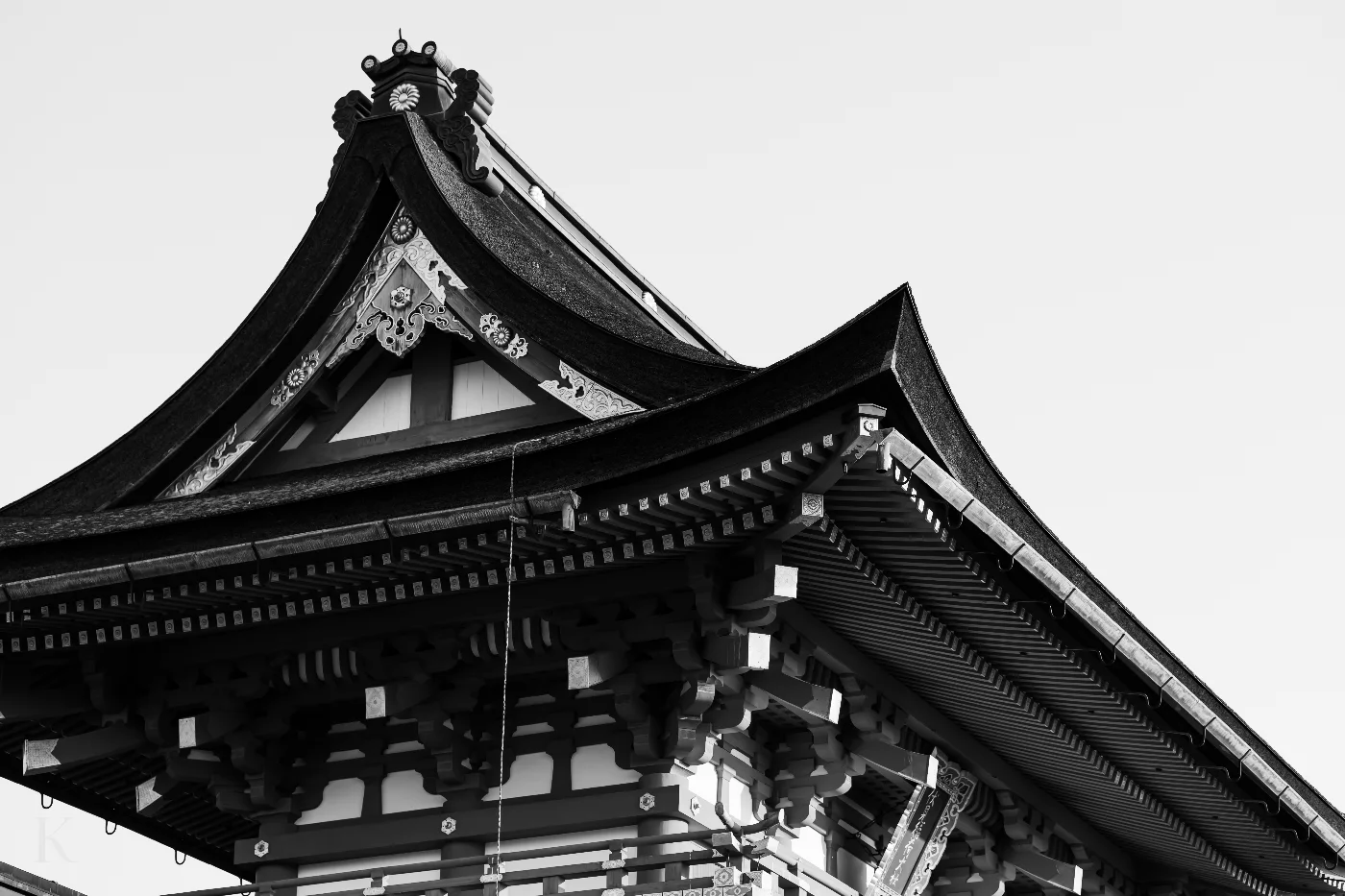 401A9812 photograph